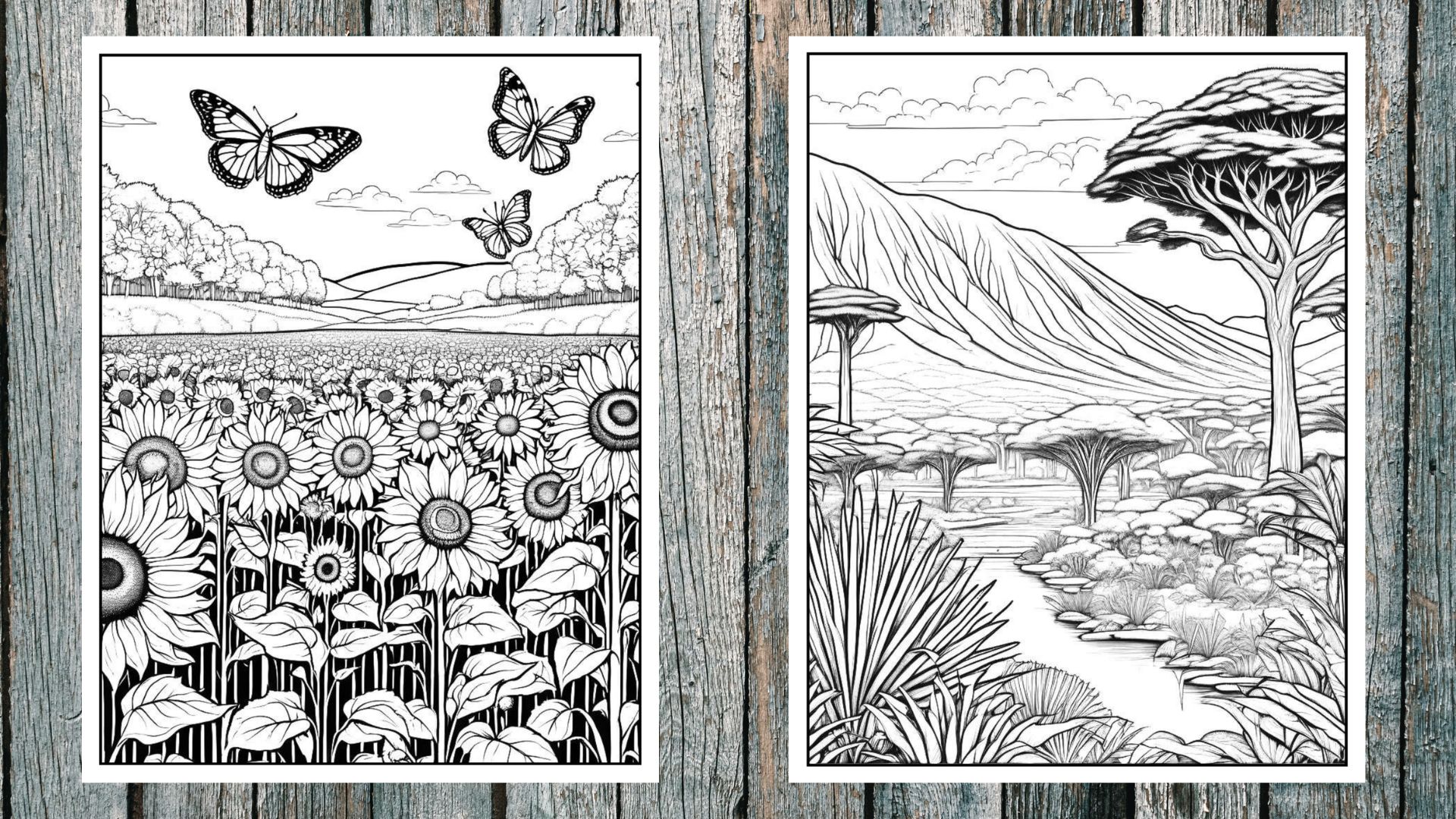 Landscapes Discovery Coloring Pages PDF Digital Download