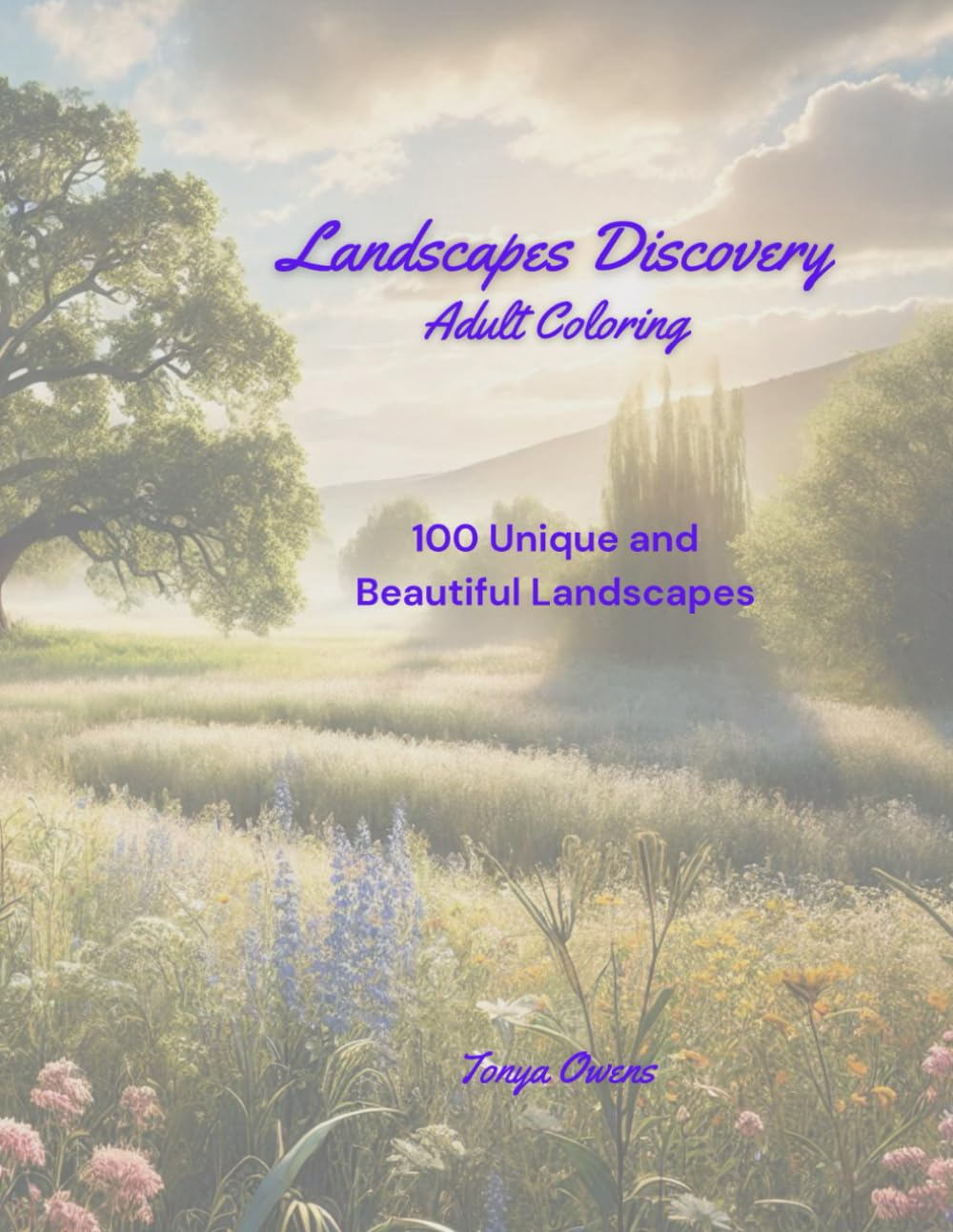 Landscapes Discovery Coloring Paperback Book