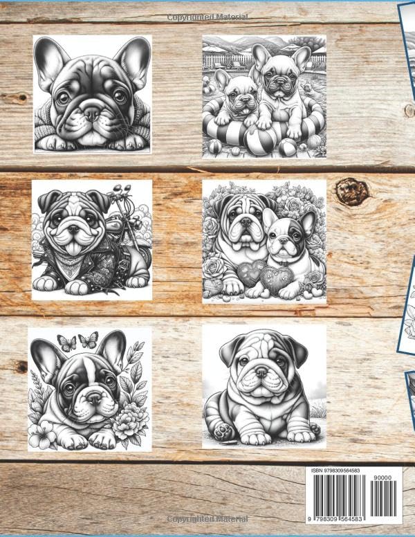 Pardon My Snorts Coloring Paperback Book