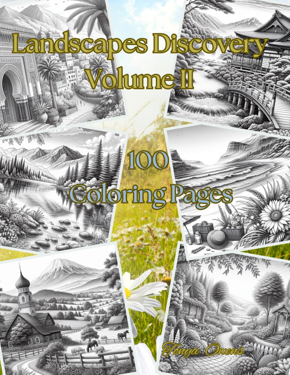 Landscapes Discover Volume II Adult Coloring Paperback Book