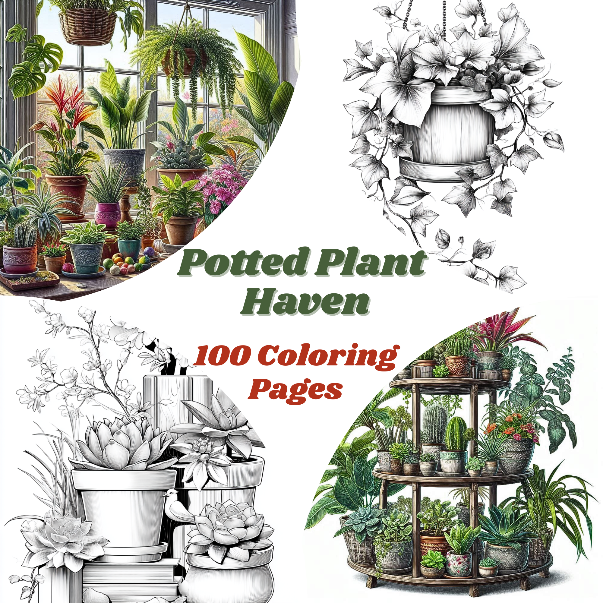 Potted Plant Haven – 100 Potted Plant Coloring Pages for Adults