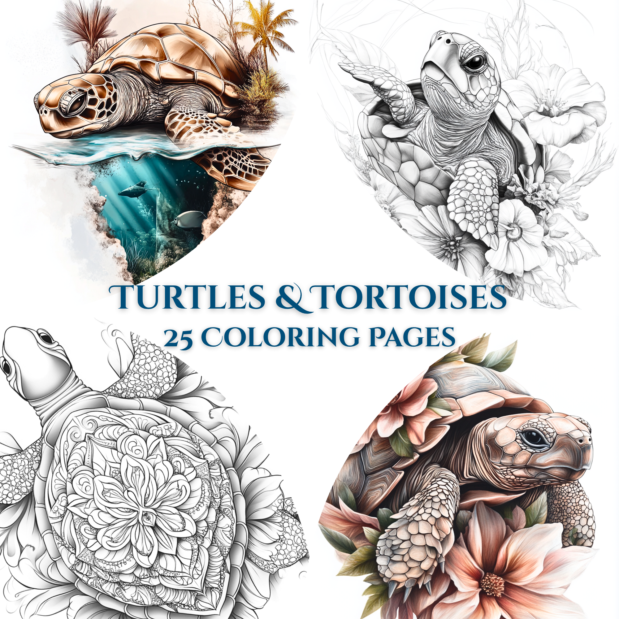 Turtles & Tortoises – 25 Coloring Pages