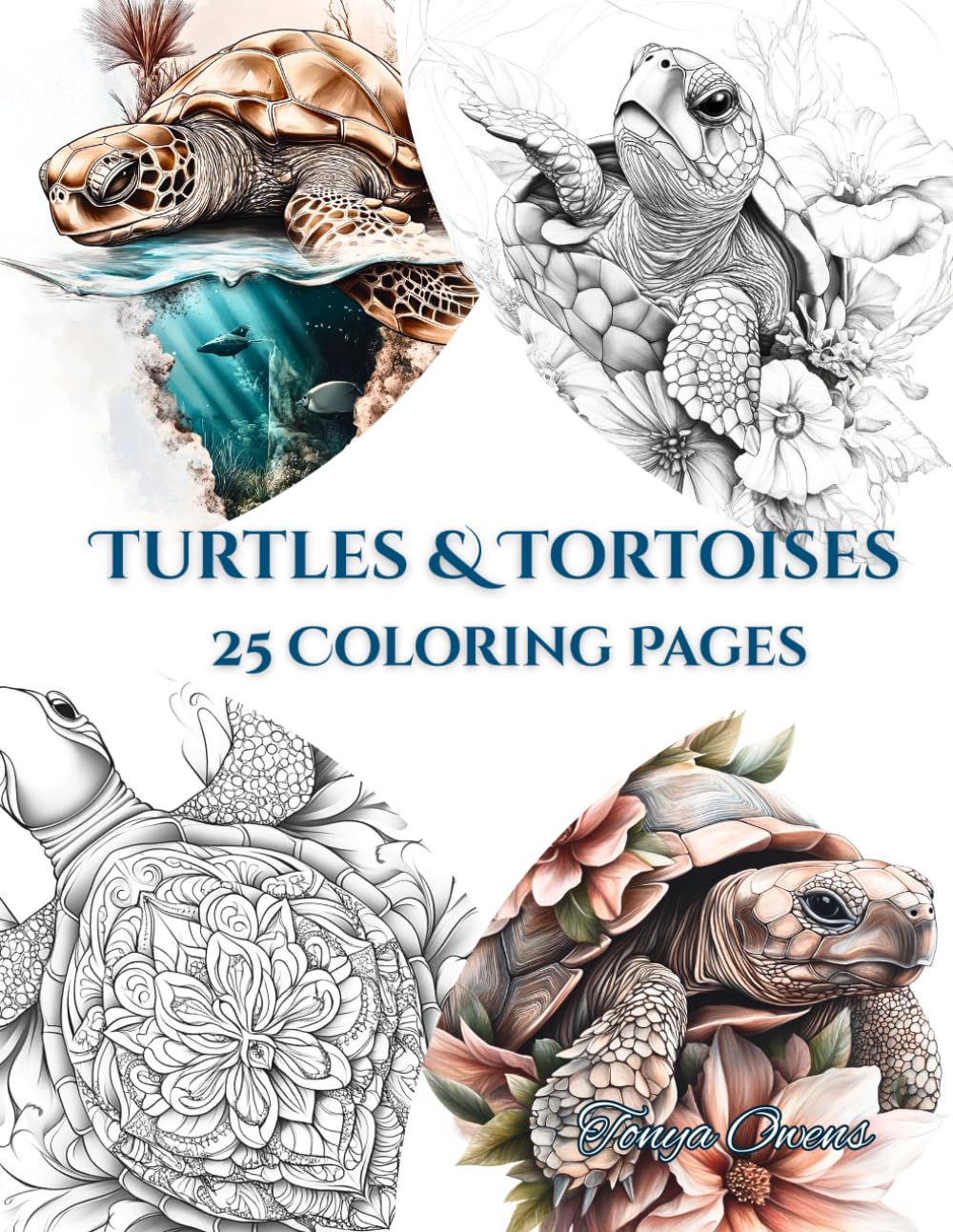 Turtles & Tortoises – 25 Coloring Pages Paperback