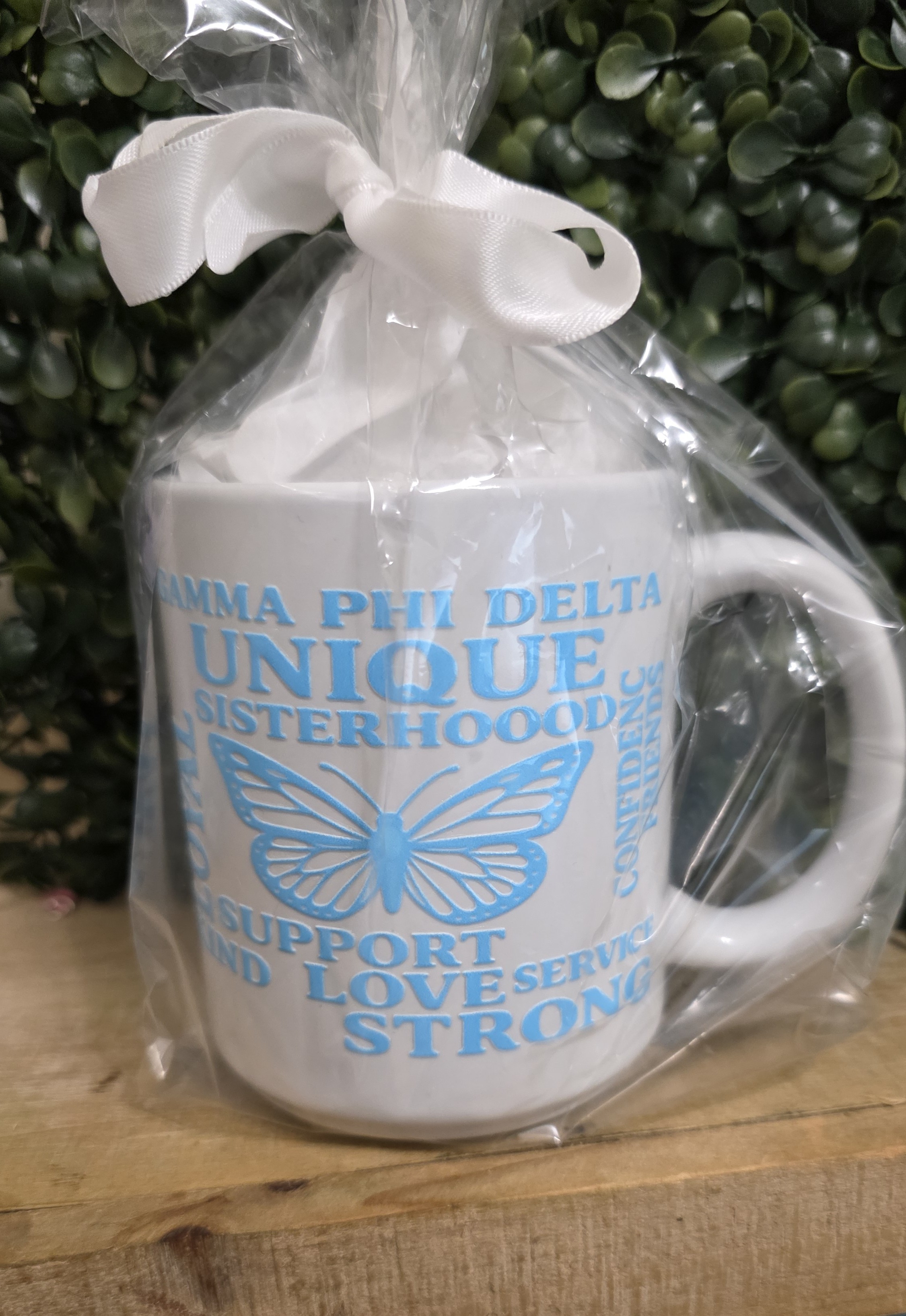 Gamma Phi Delta Sisterhood Mug