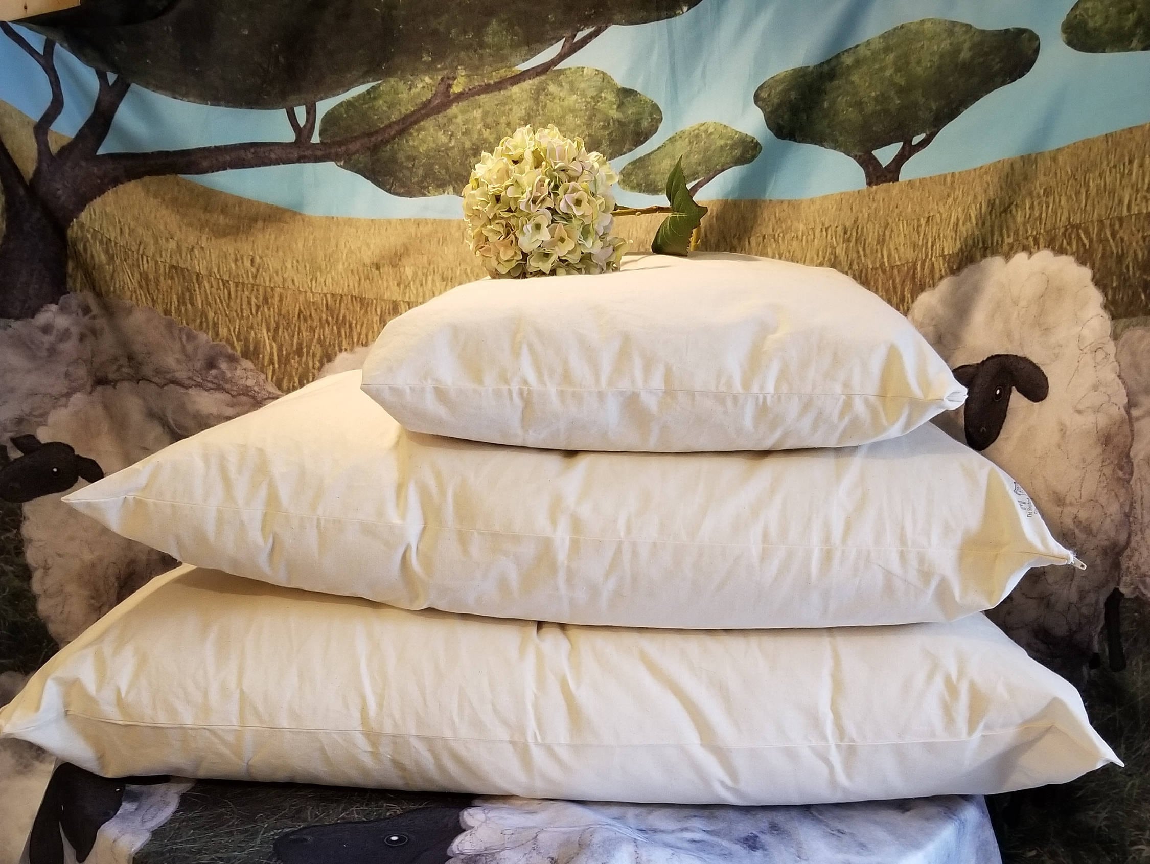 Eco-Luxury Wool Pillows