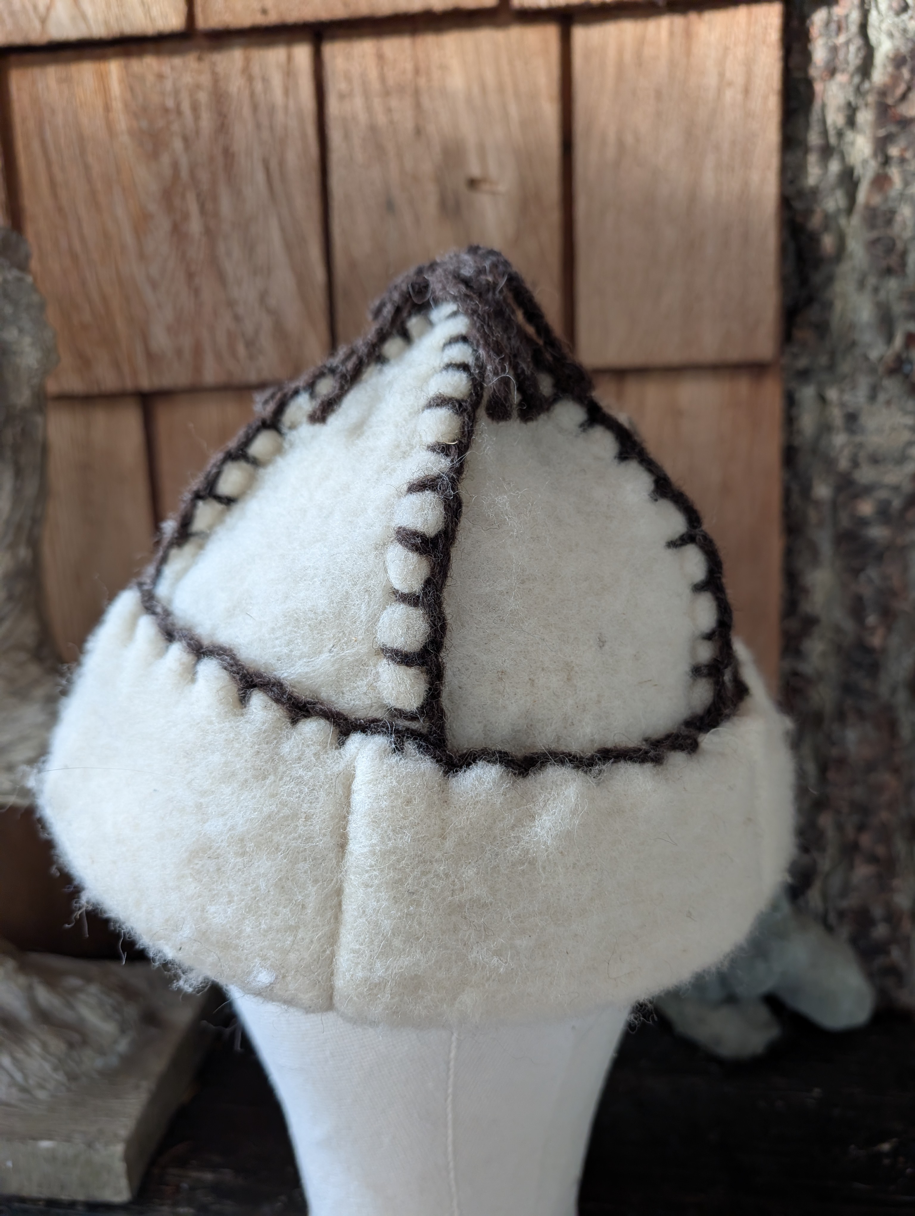 Handmade  wool Felted Hat