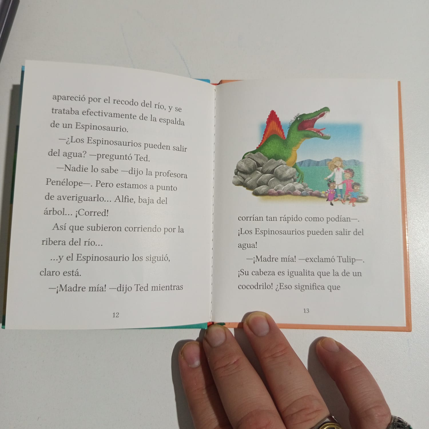 Libro, las aventuras de los mellizos Treetop.