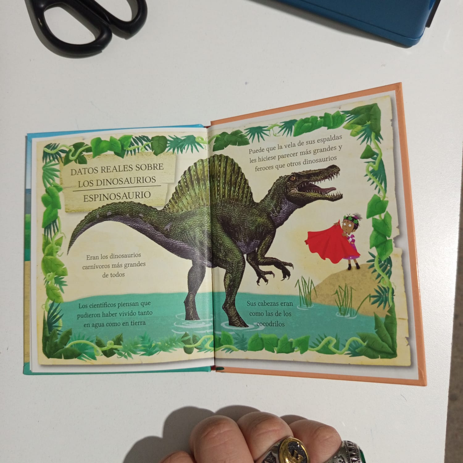 Libro, las aventuras de los mellizos Treetop.