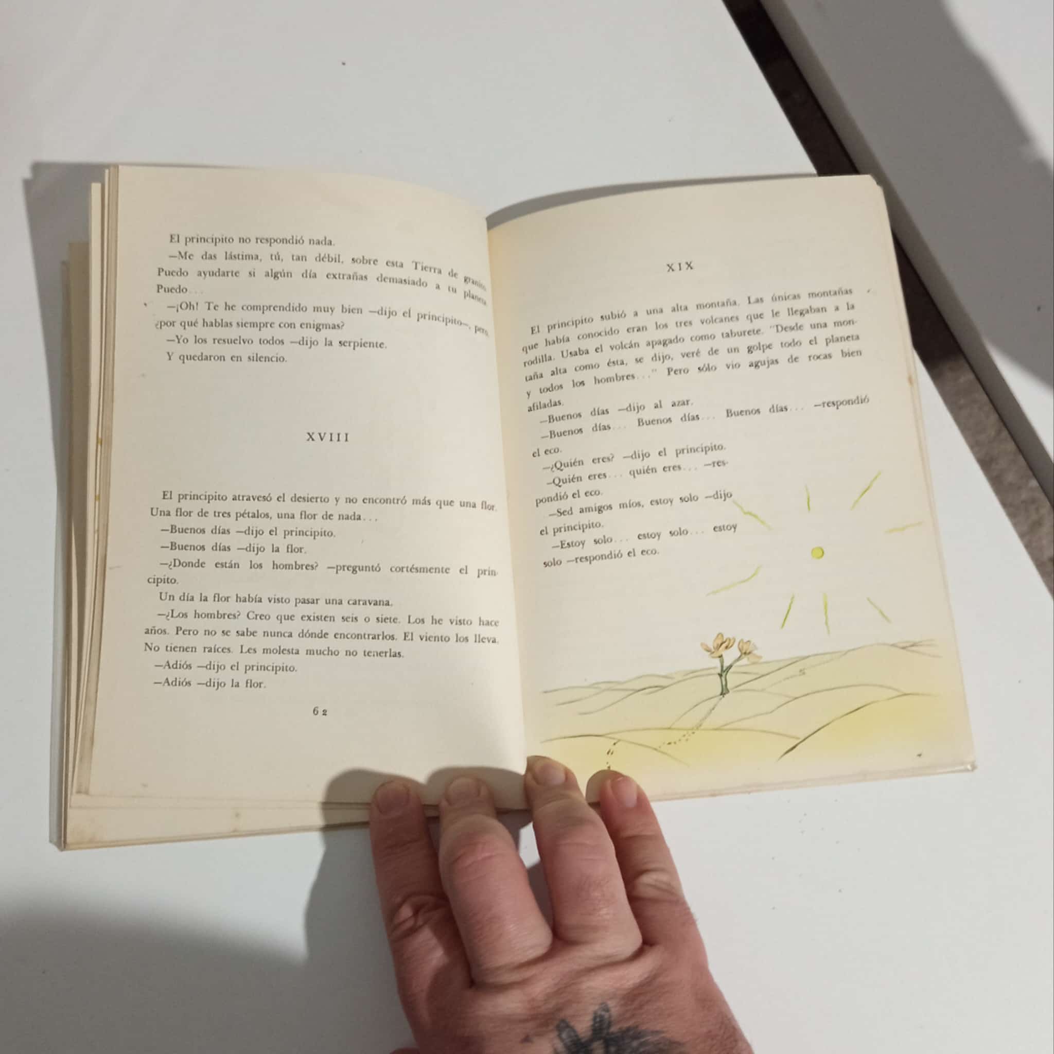 Libro: El principito, tapas forradas con nylon