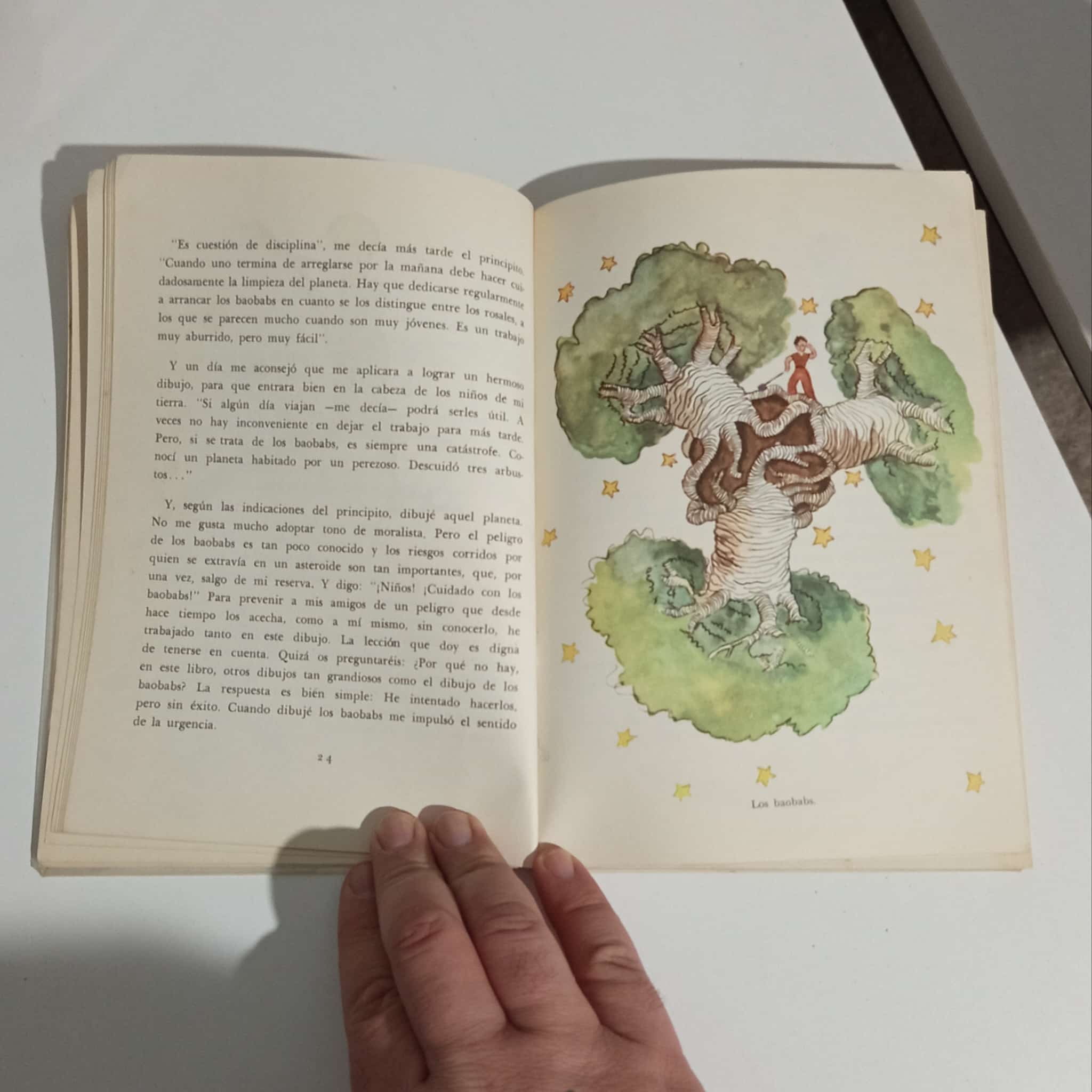 Libro: El principito, tapas forradas con nylon
