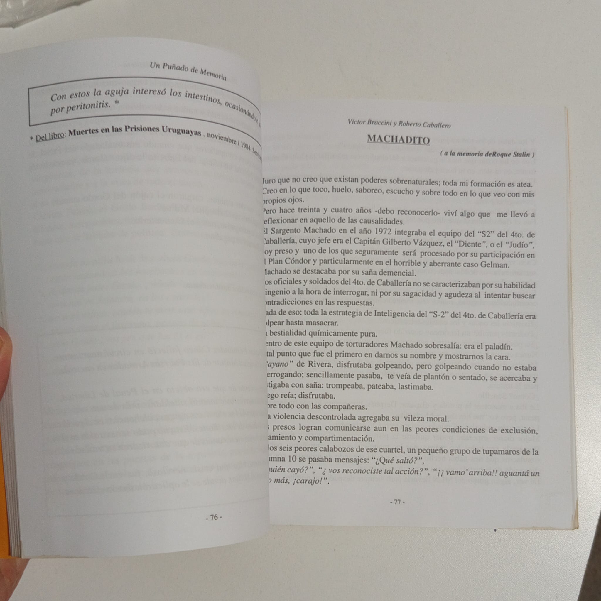 Libro: Un puñado de memorias