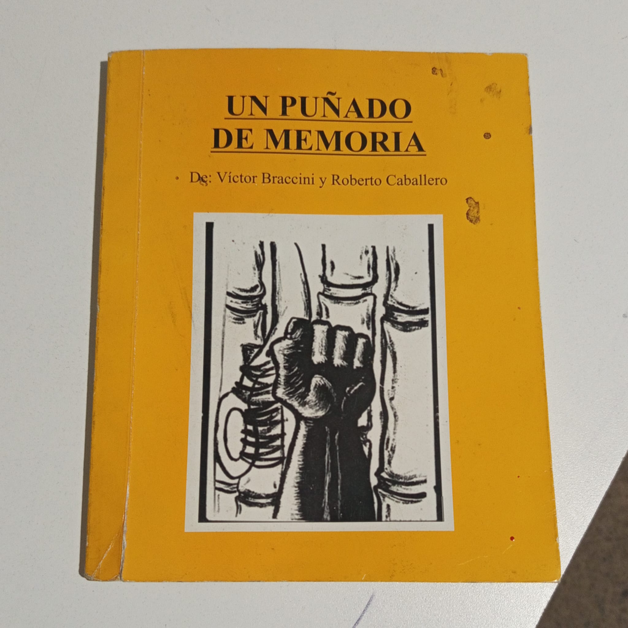 Libro: Un puñado de memorias