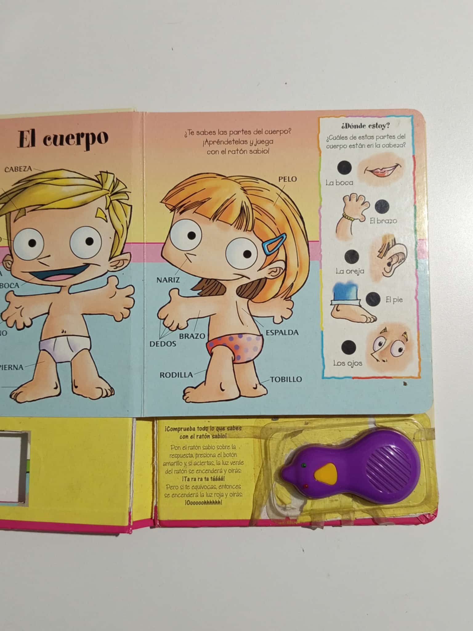 Libro didactico con detalles