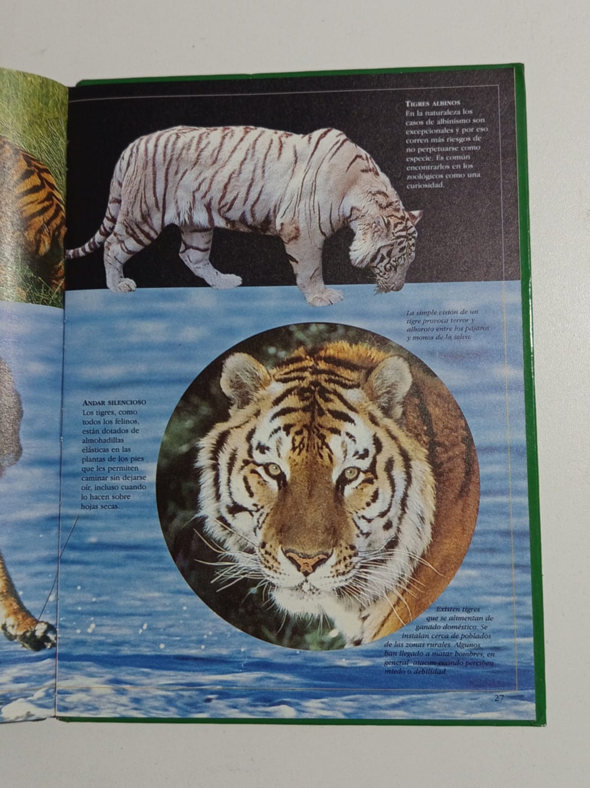 Asmobrosos felinos, libro