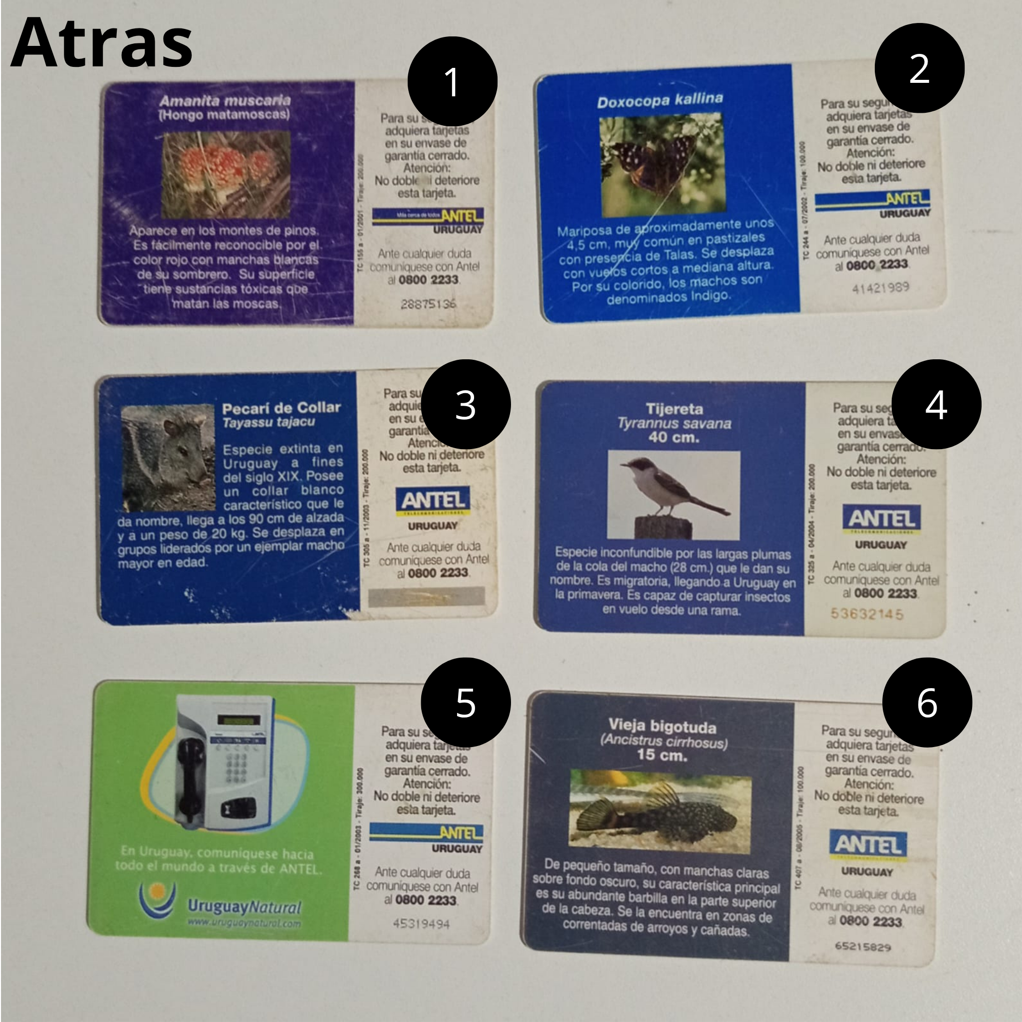 Tarjetas de Antel, Año 90/2000 , Coleccionables PACK2
