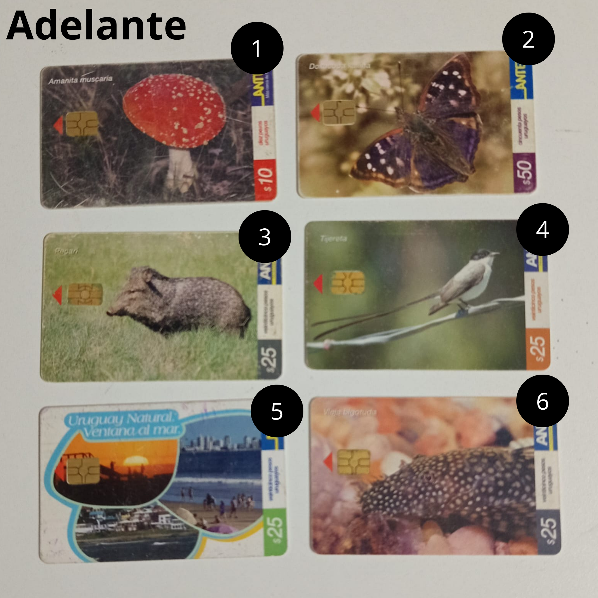 Tarjetas de Antel, Año 90/2000 , Coleccionables PACK2