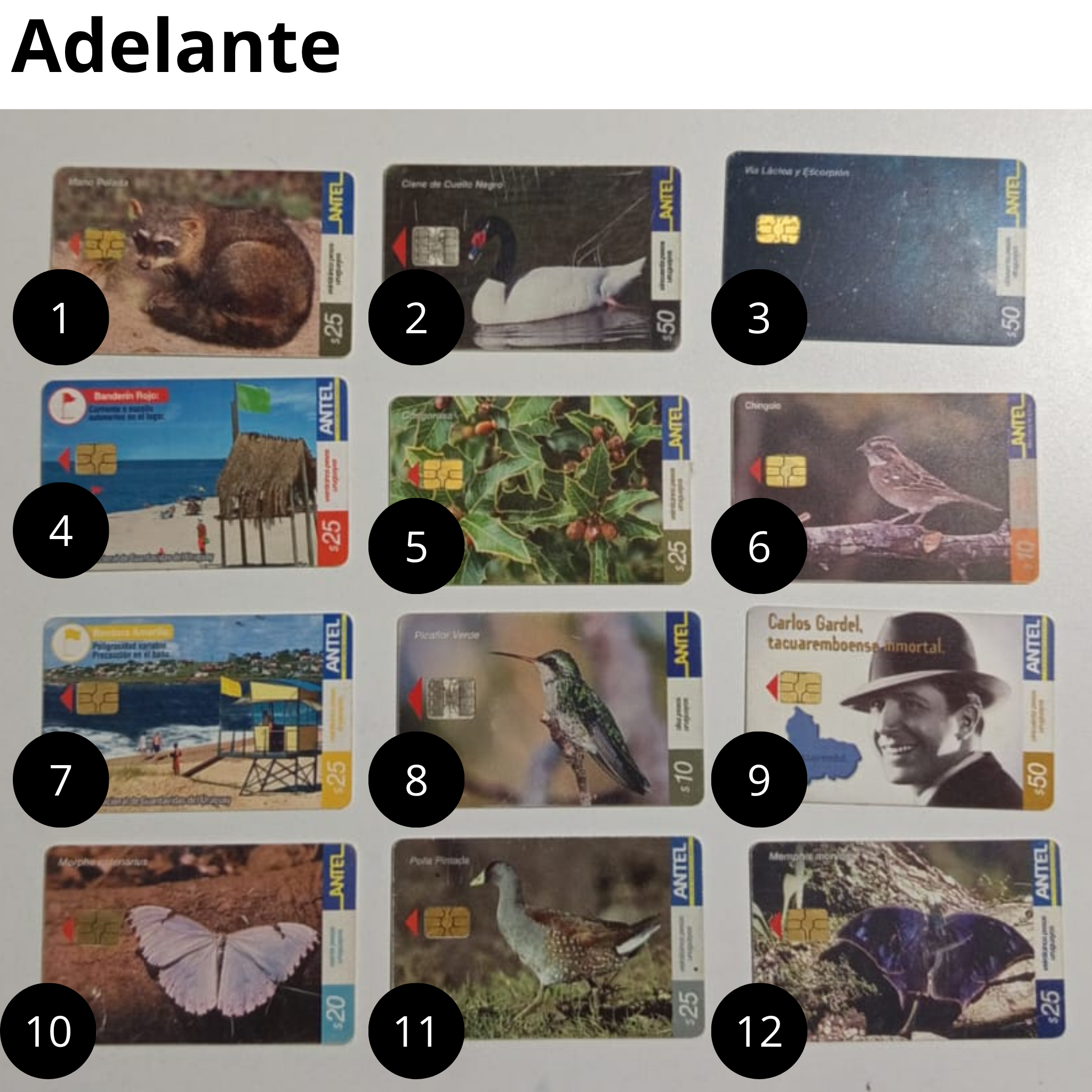 Tarjetas de Antel, Año 90/2000 , Coleccionables PACK4