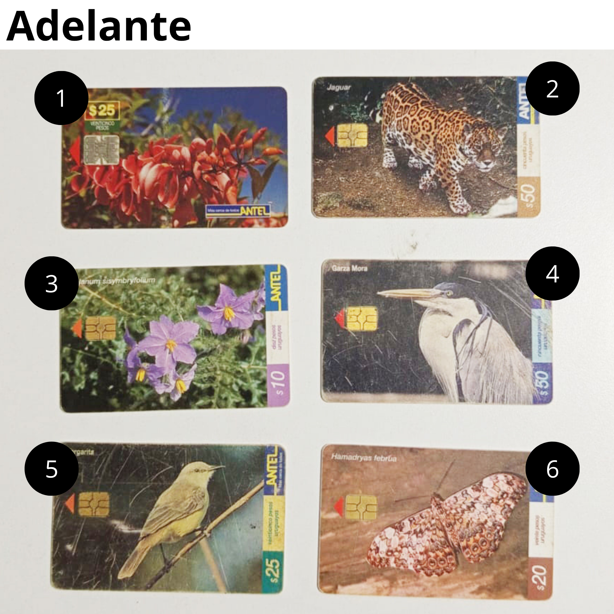 Tarjetas de Antel, Año 90/2000 , Coleccionables PACK5