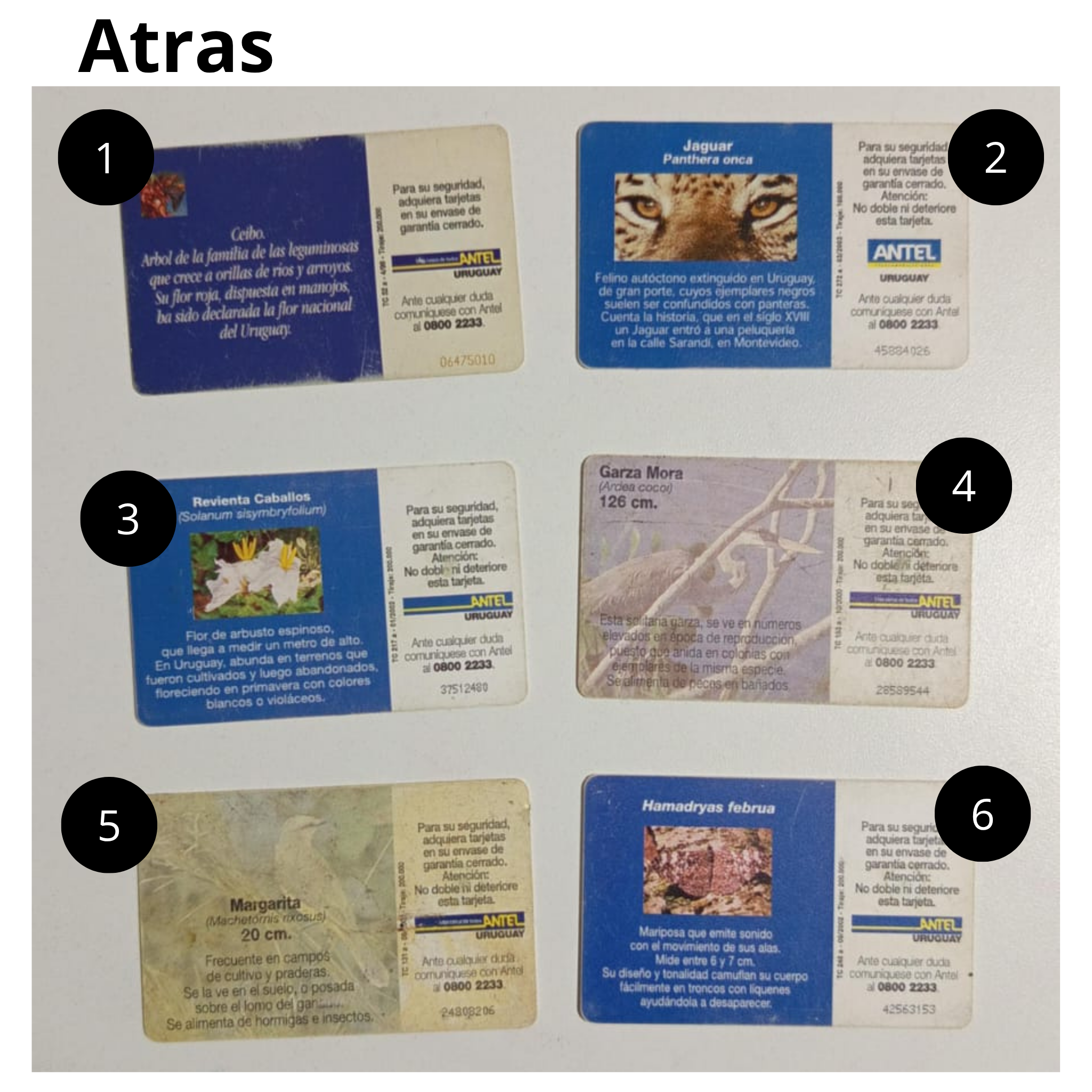 Tarjetas de Antel, Año 90/2000 , Coleccionables PACK5