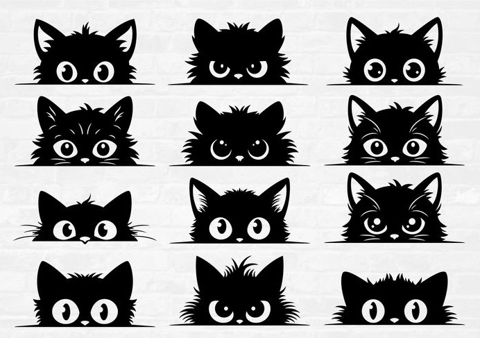 Stickers gatitos, exterior e interior, cualquier superficie lisa, 13cm 