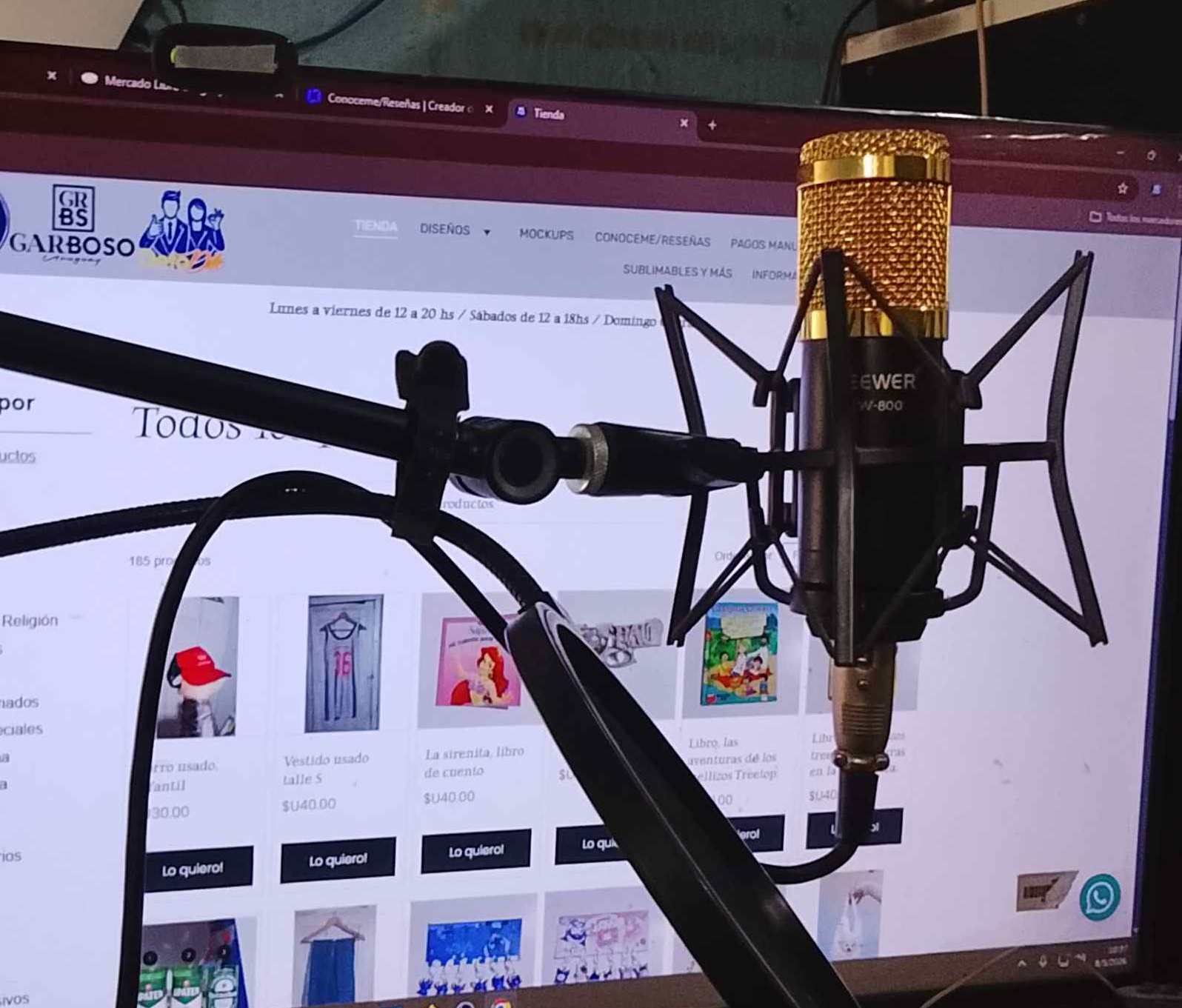 Microfono De Radio Y Grabación Studio Condensador