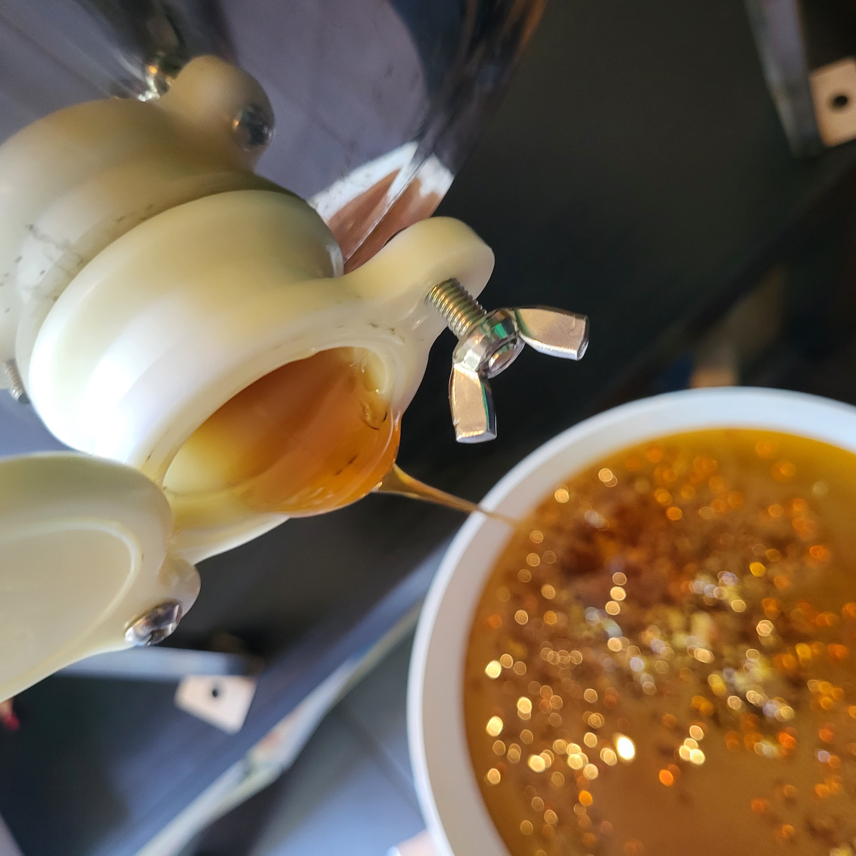 Miel de Forêt Brégançon