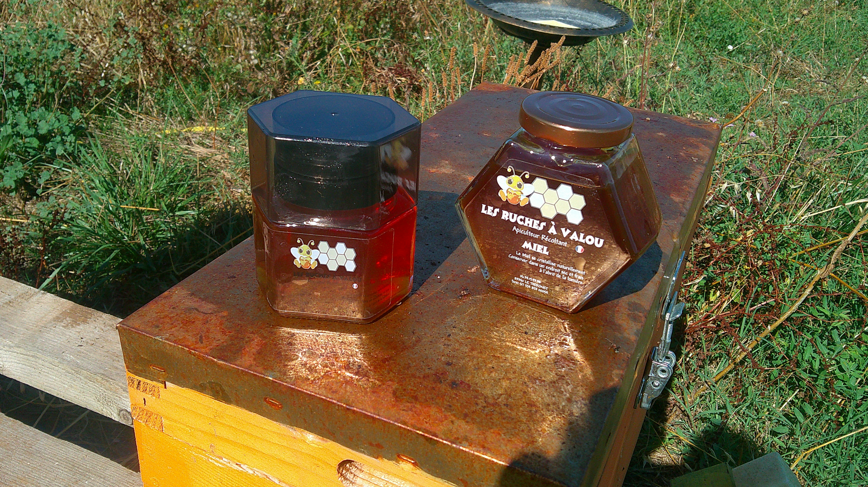 Miel Toutes Fleurs de Brégançon