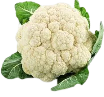 Fresh Cauliflower