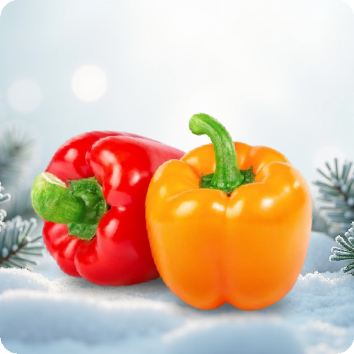 Fresh Bell Peppers