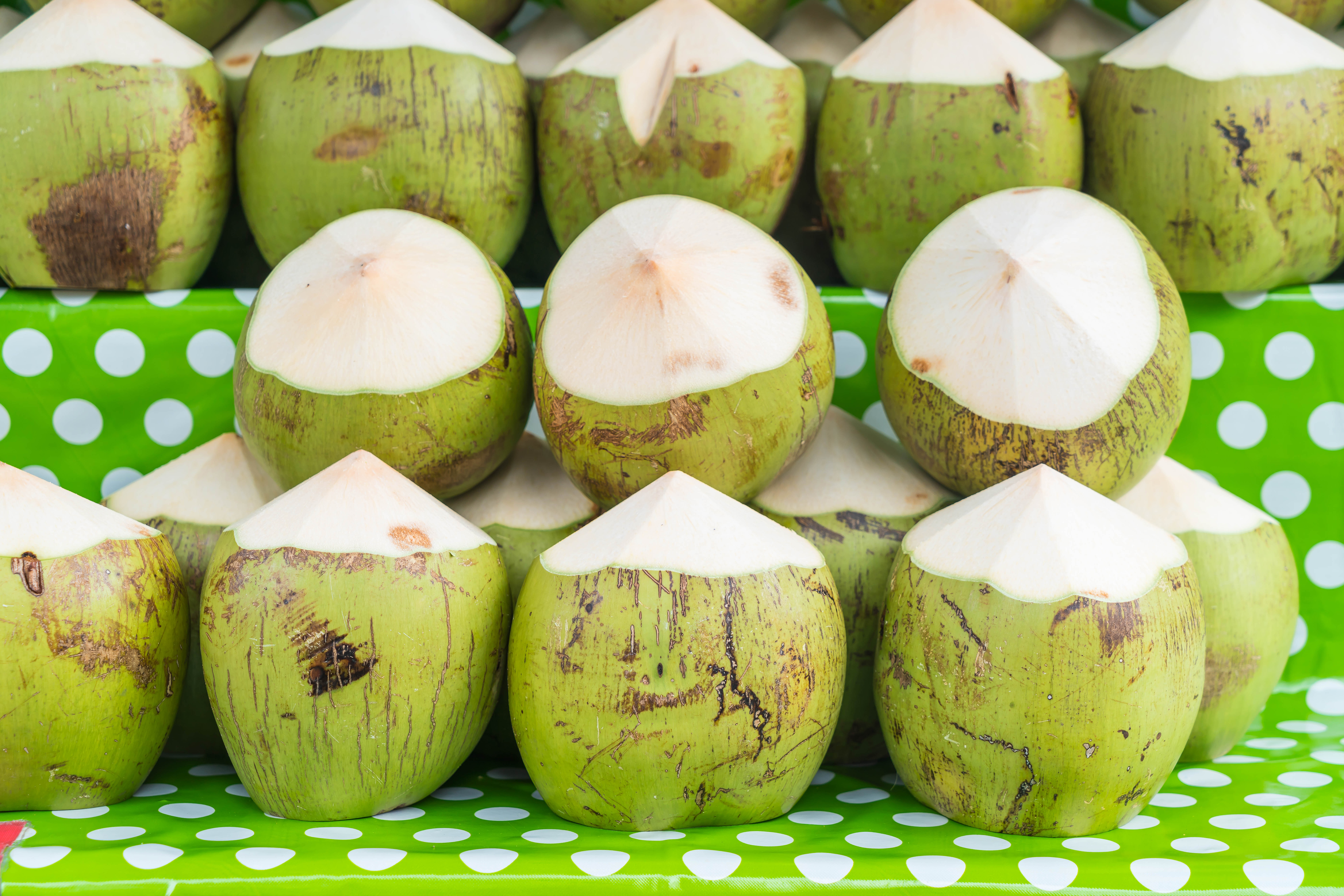 Fresh Green Coconuts