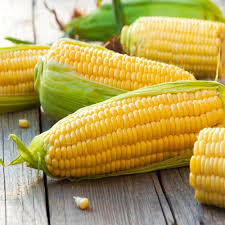 Fresh Sweet Corn