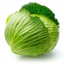 Fresh Green Cabbage