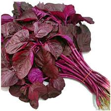 Fresh Red Spinach