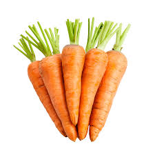Fresh Carrots