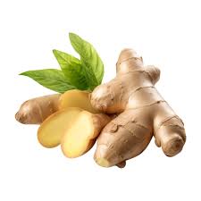 Fresh Ginger Root