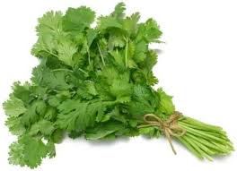 Fresh Cilantro