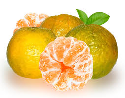 Fresh Oranges