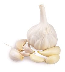 Fresh Garlic Bulbs