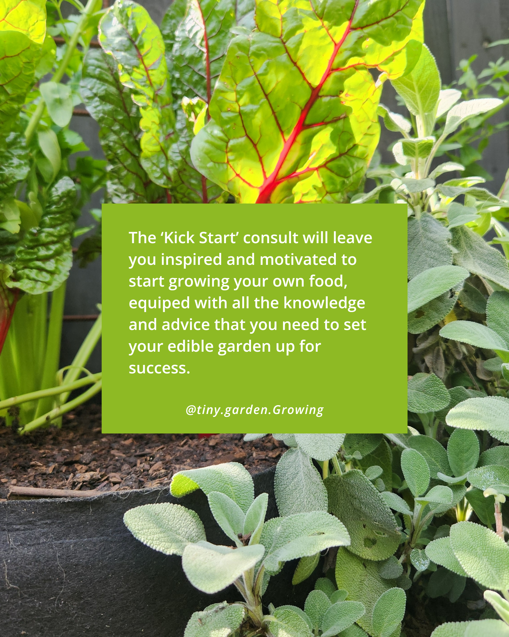 Kick Start Consult