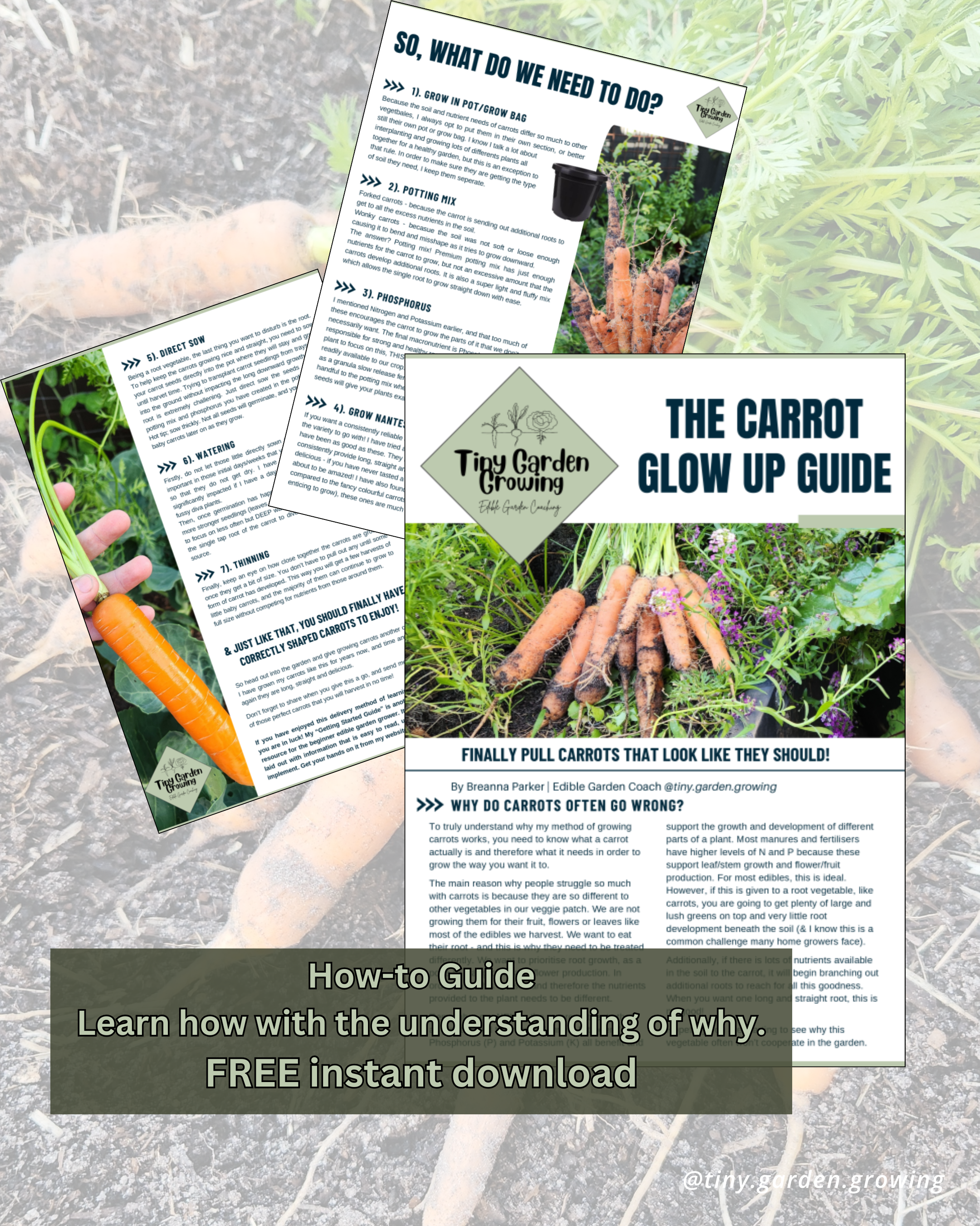 The Carrot Glow Up Guide