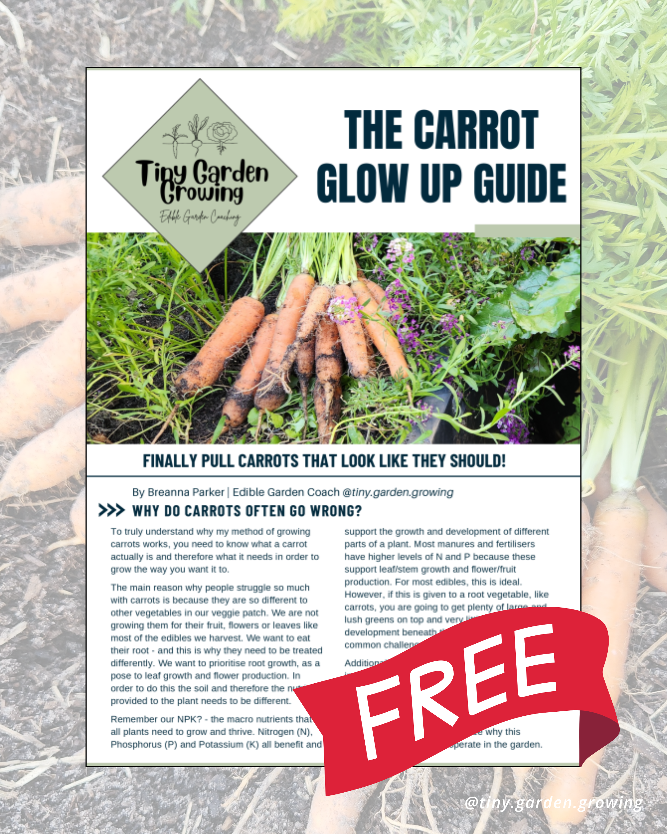 The Carrot Glow Up Guide