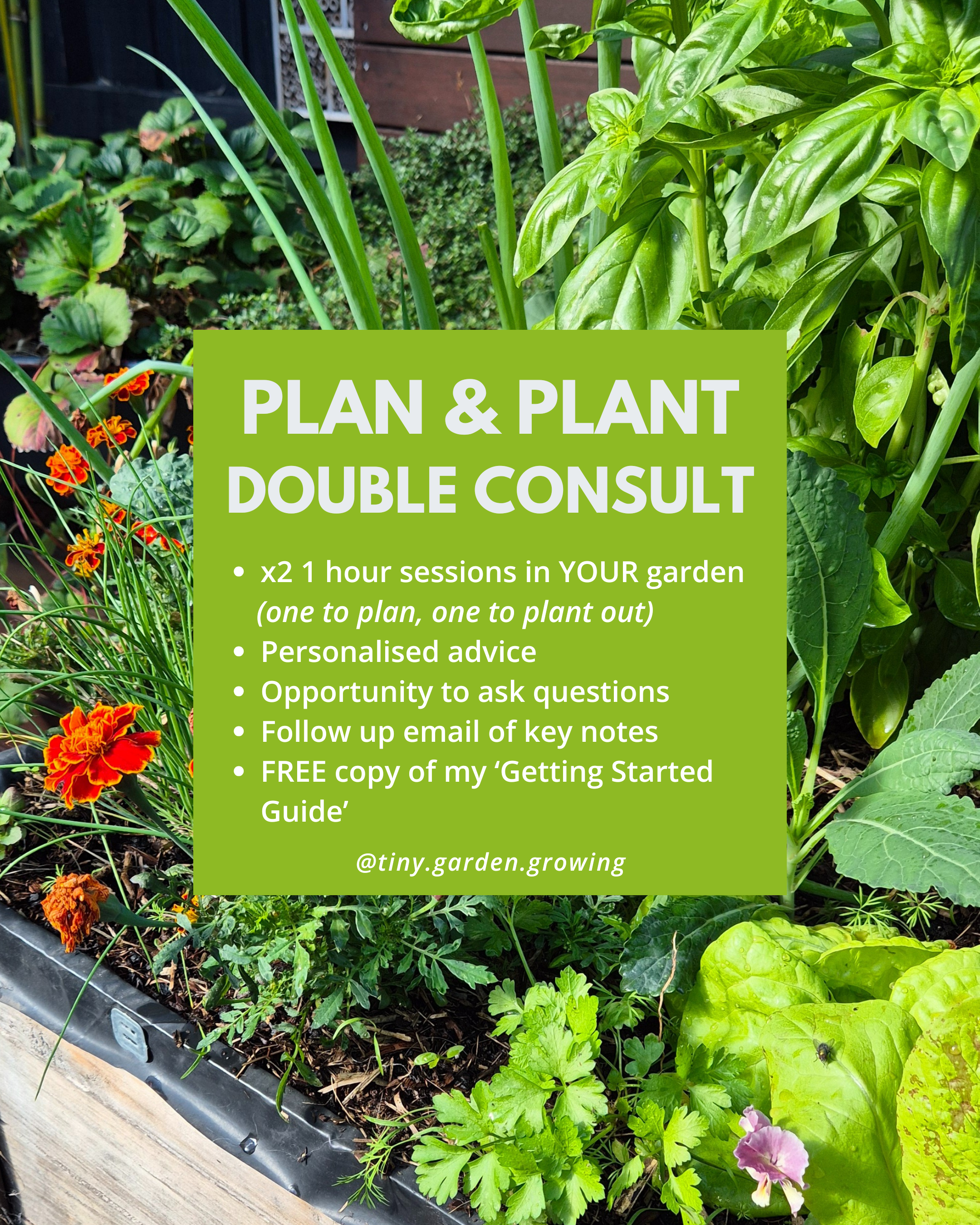 Plan & Plant Double Consult