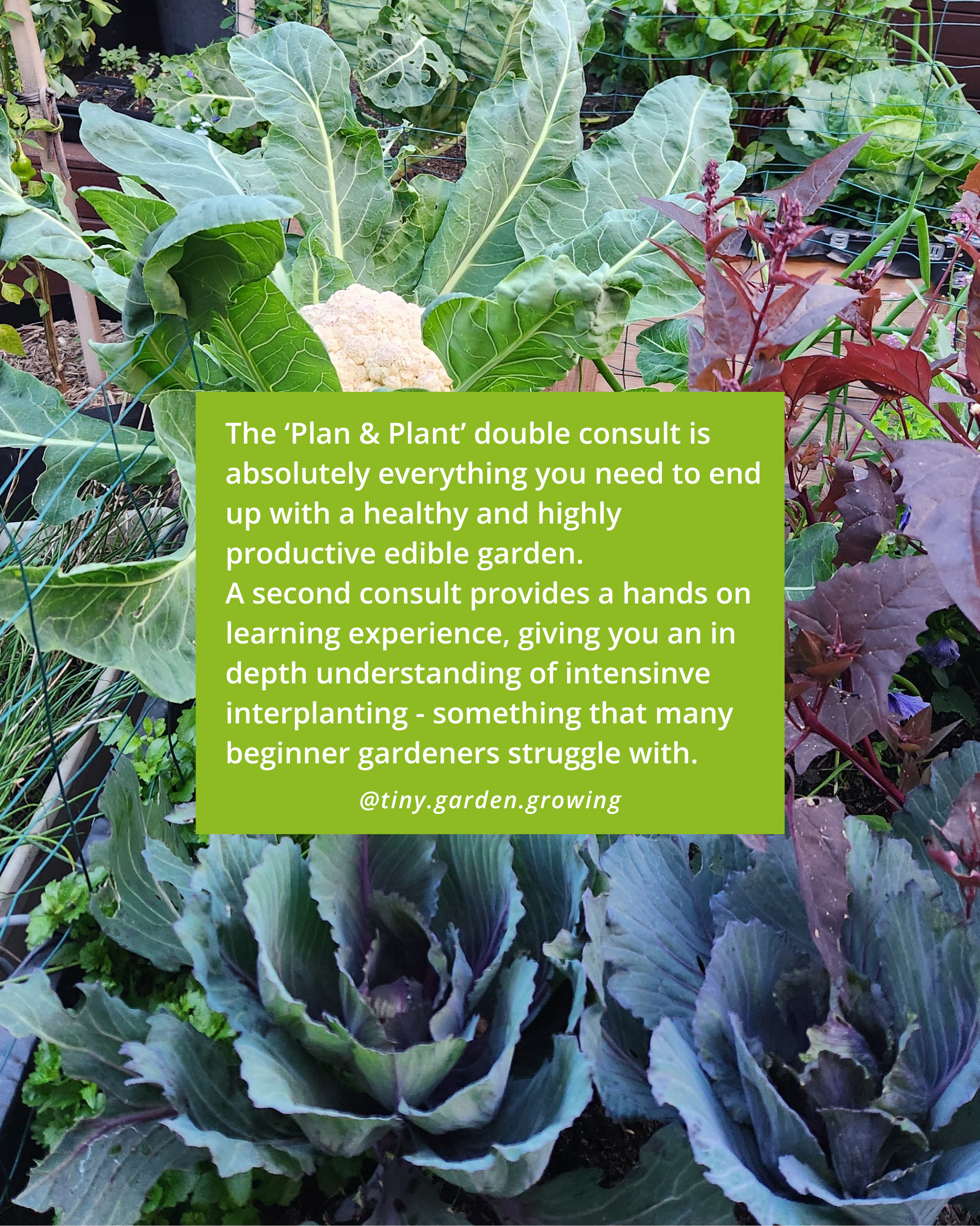 Plan & Plant Double Consult