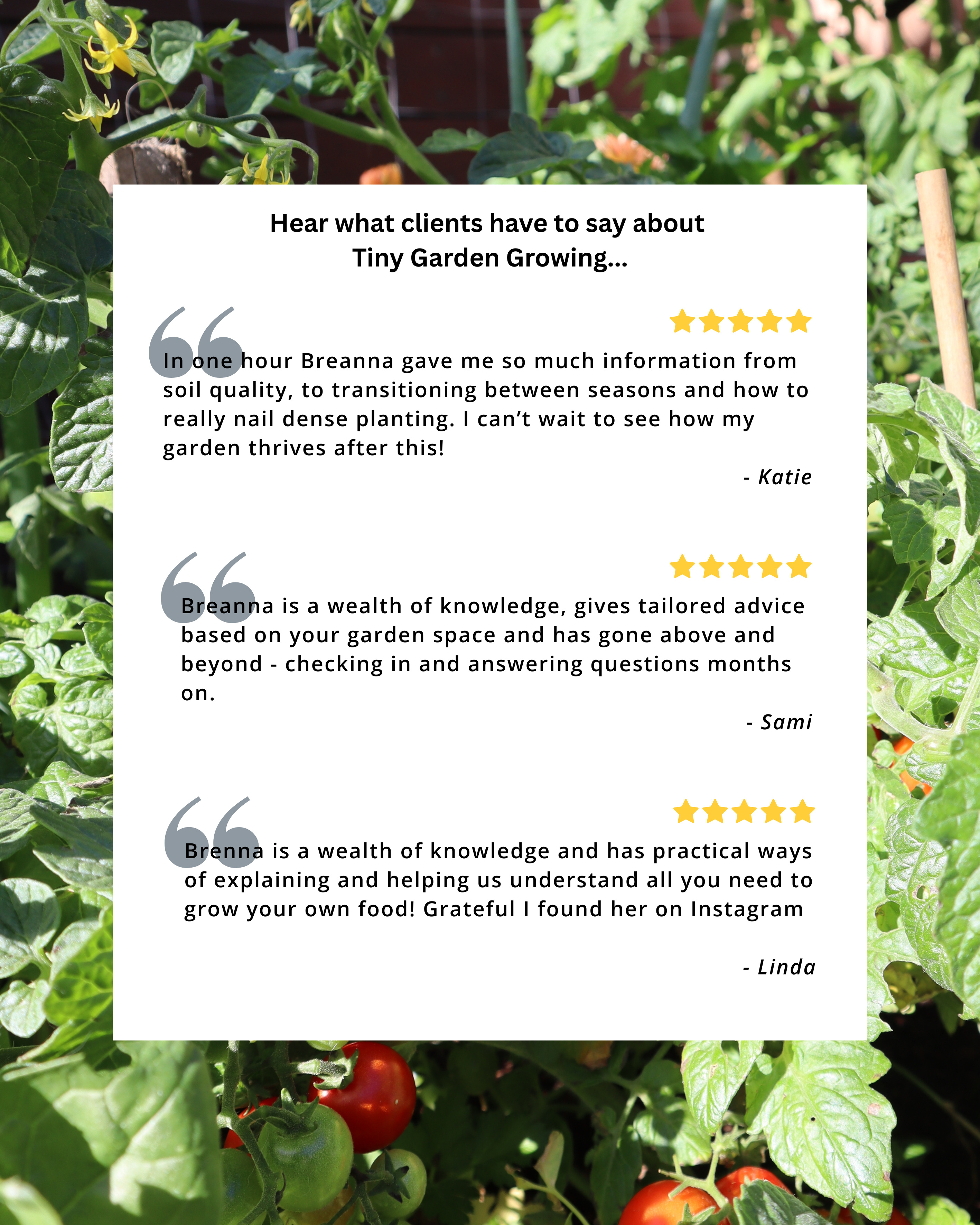 Video to Veg Online Consult