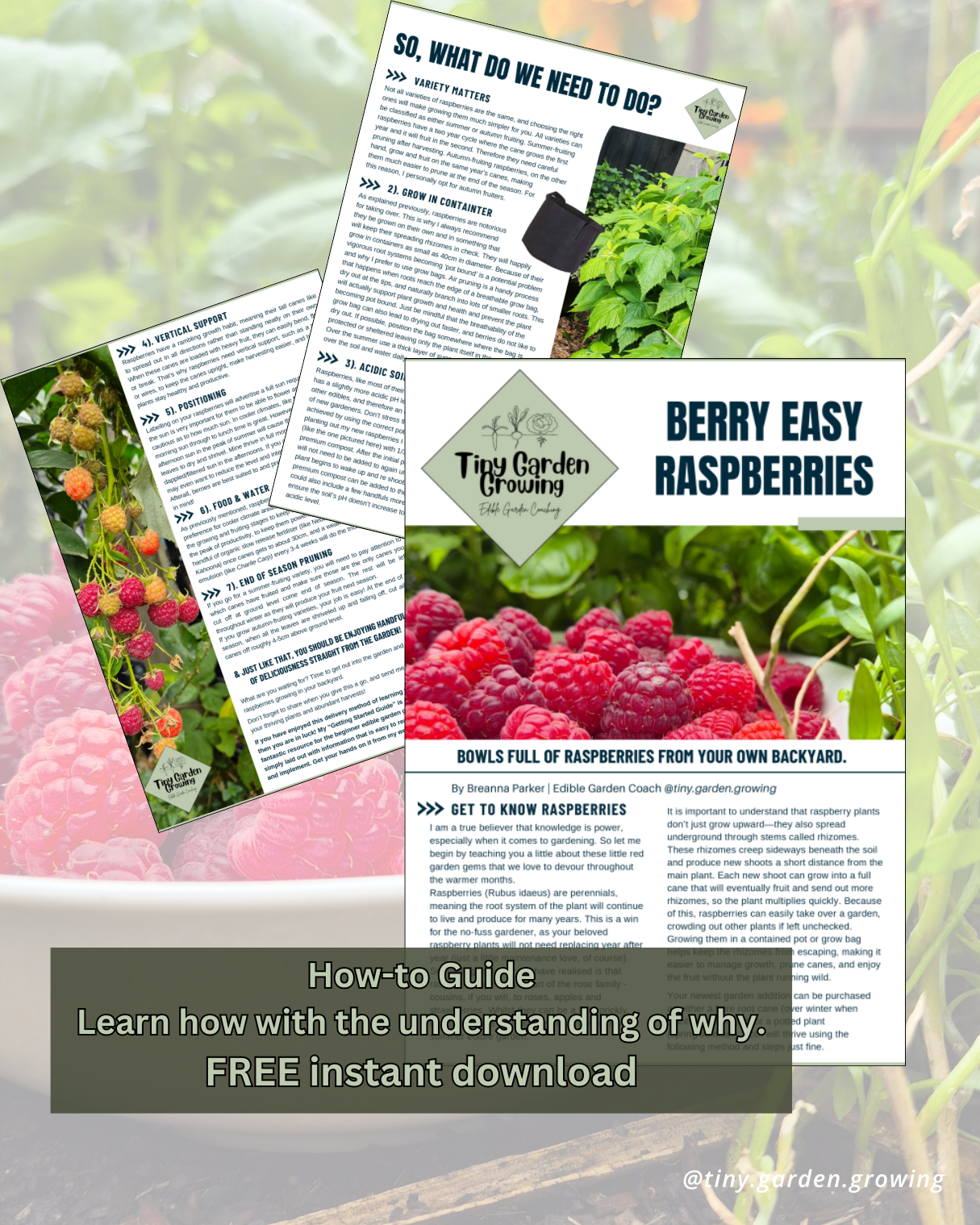 Berry Easy Raspberries Guide