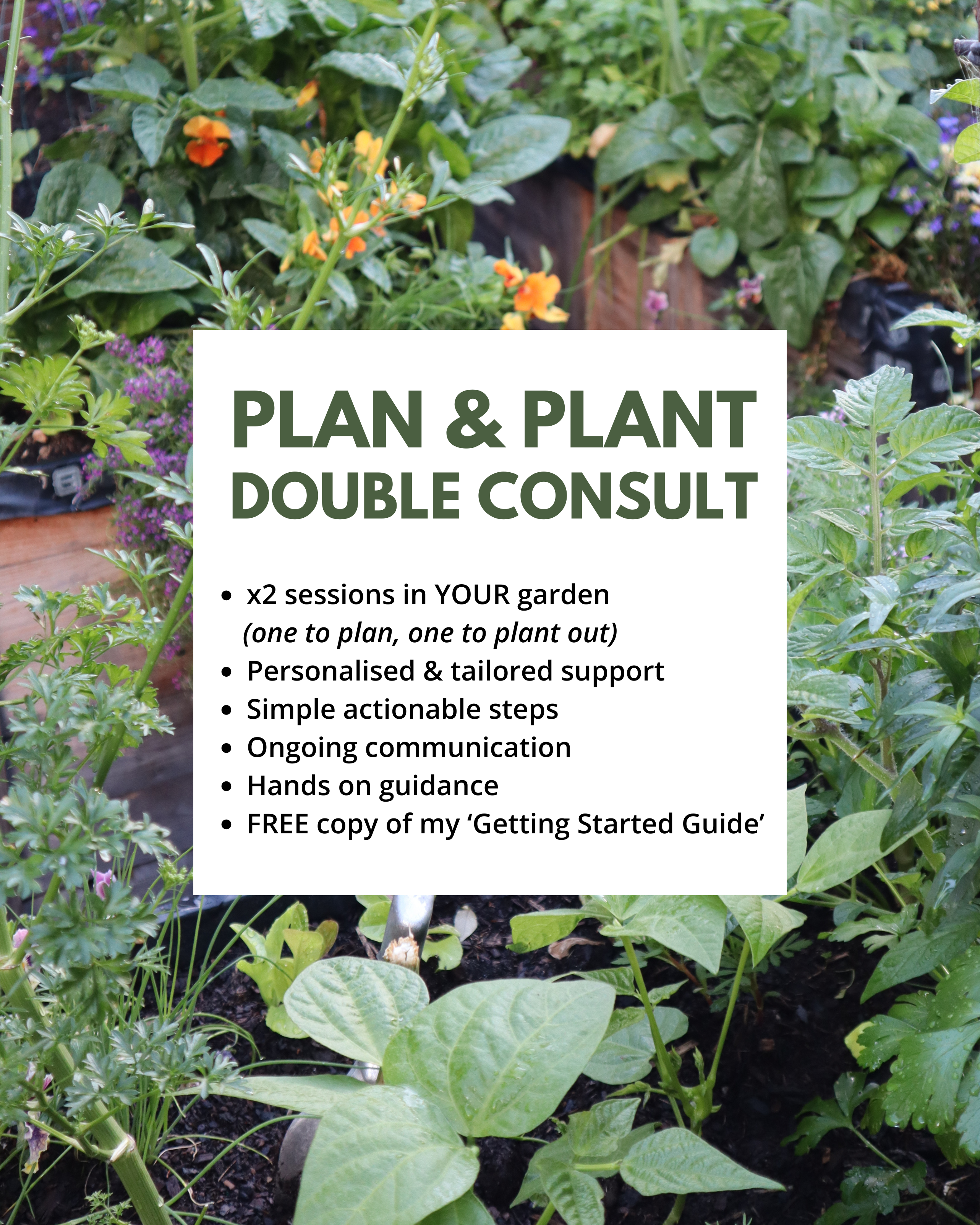Plan & Plant Double Consult