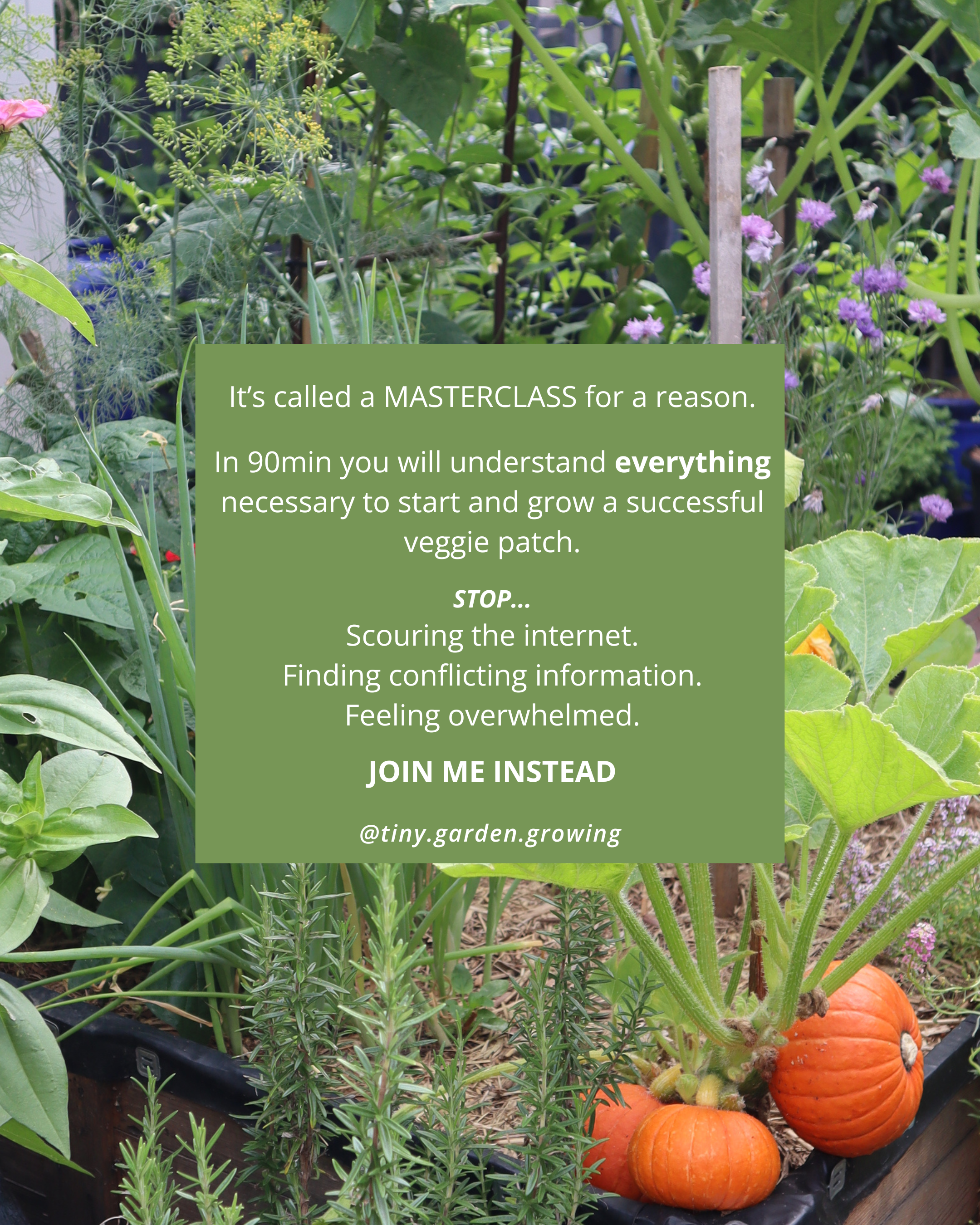 Get Growing - Online Masterclass