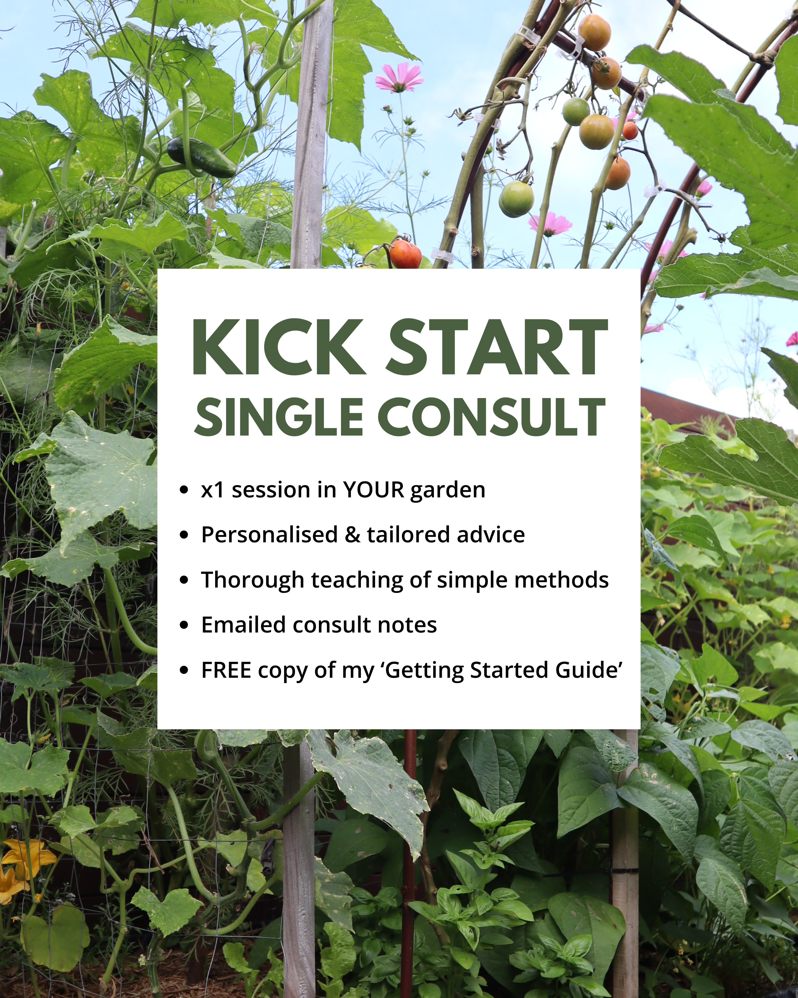 Kick Start Consult