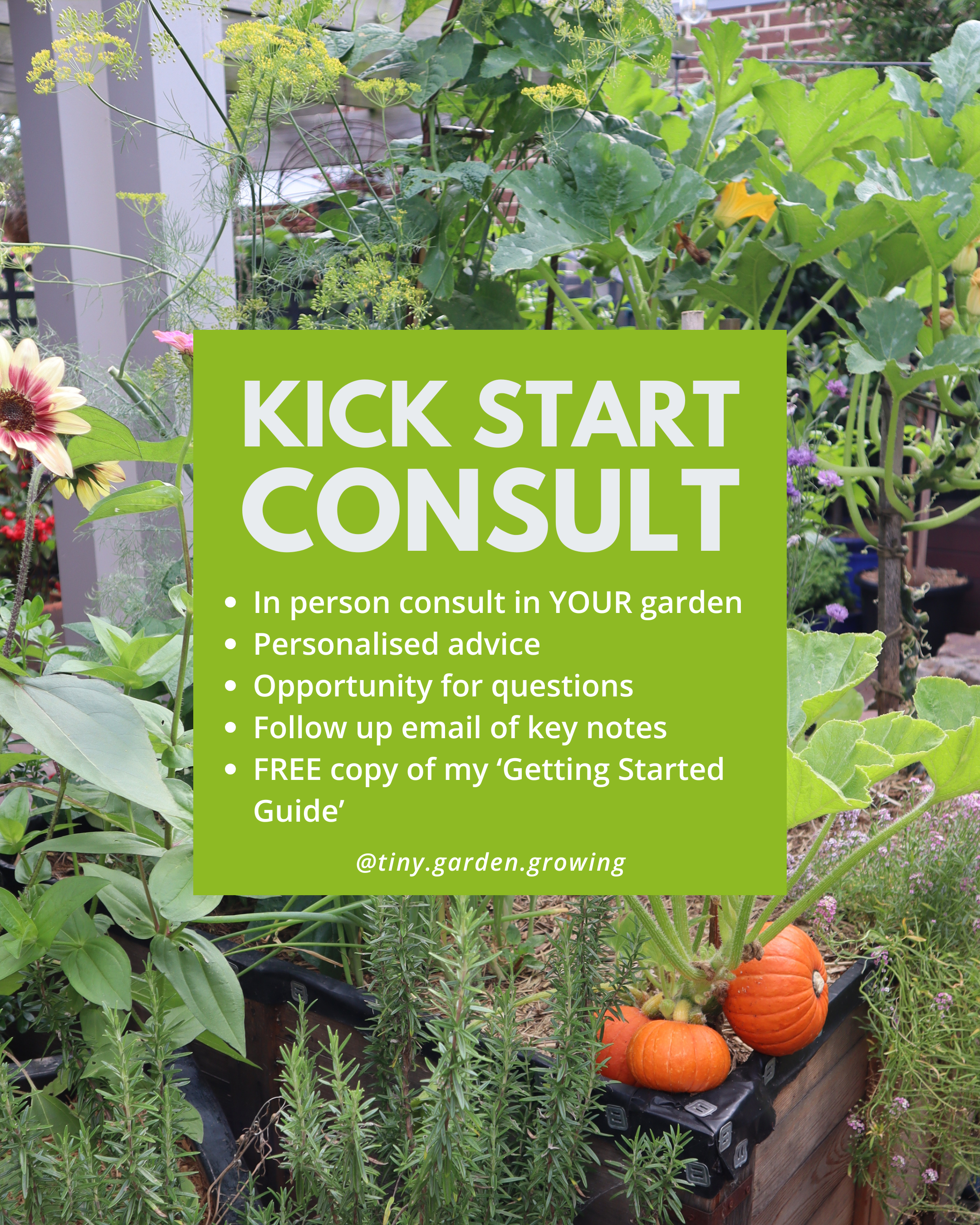 Kick Start Consult