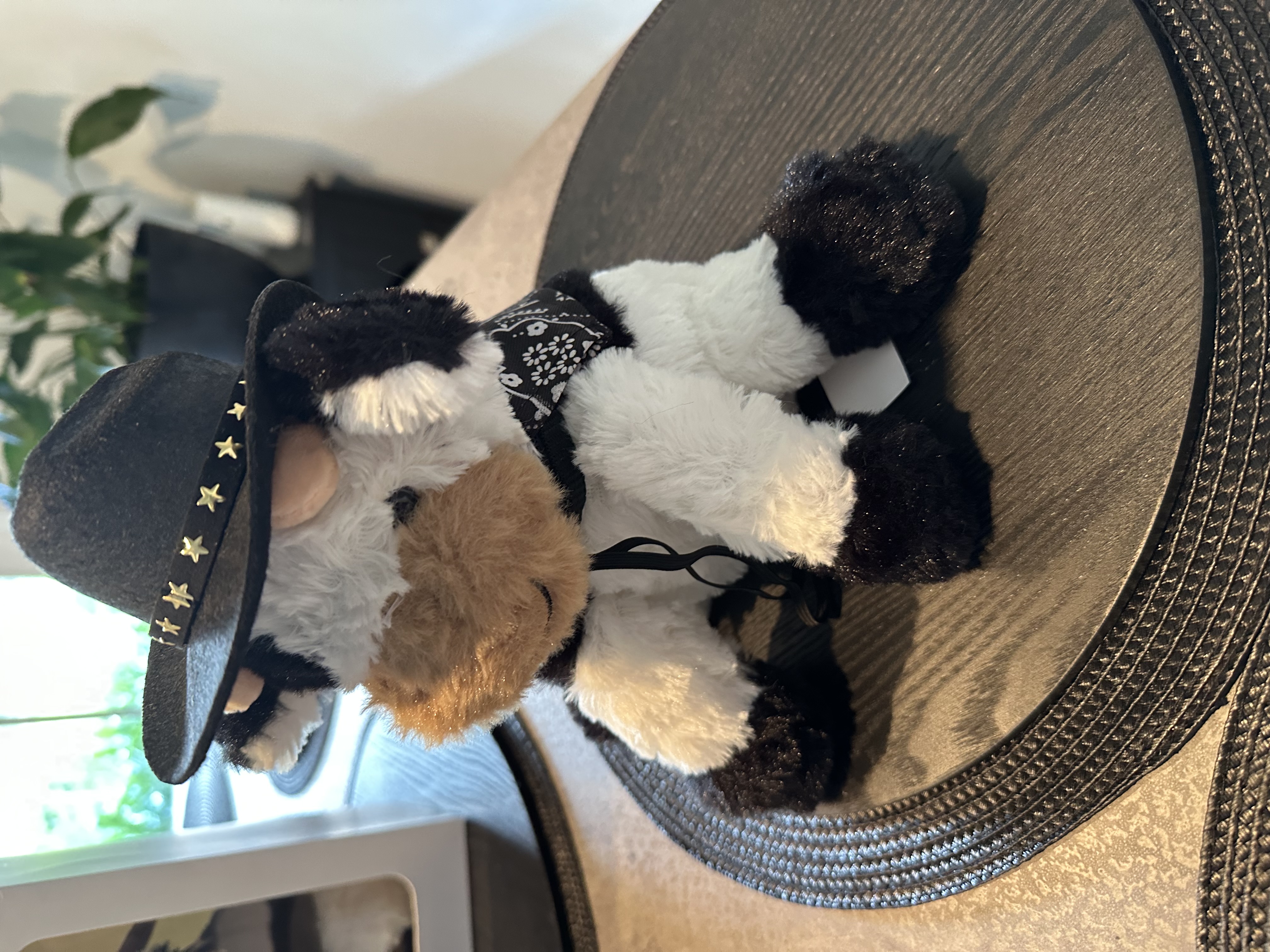 Country Chaos KIds Stuffed Animals 